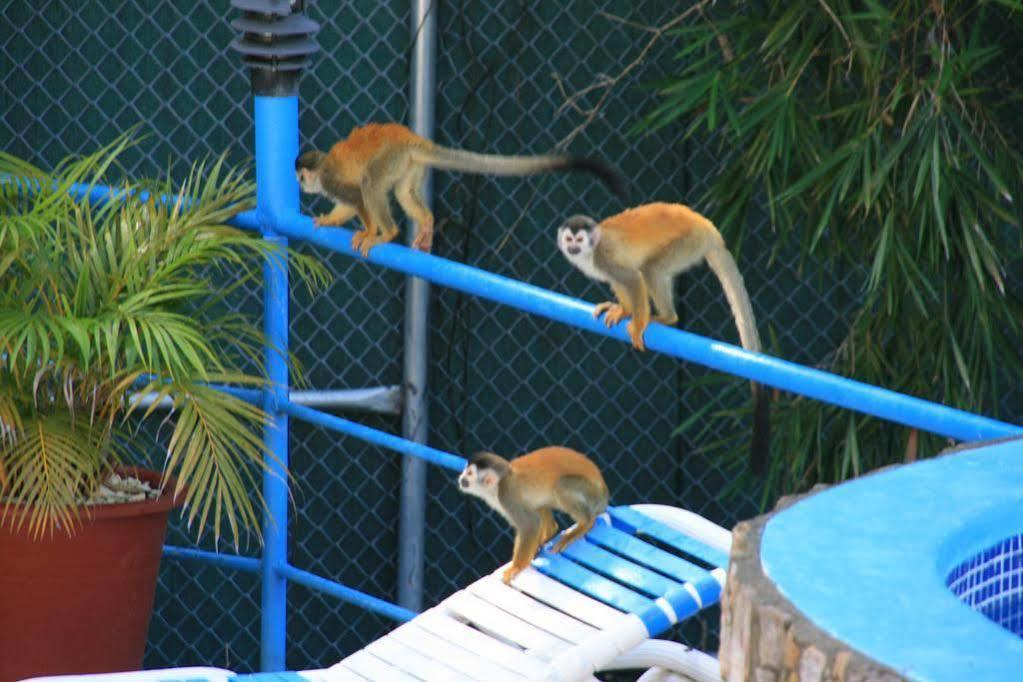 Condominio Villas El Parque Manuel Antonio Buitenkant foto